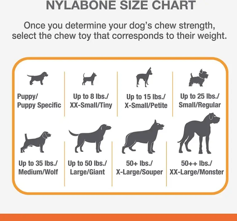 Nylabone Power Chew Cheese Bone Dog Toy Photo 2