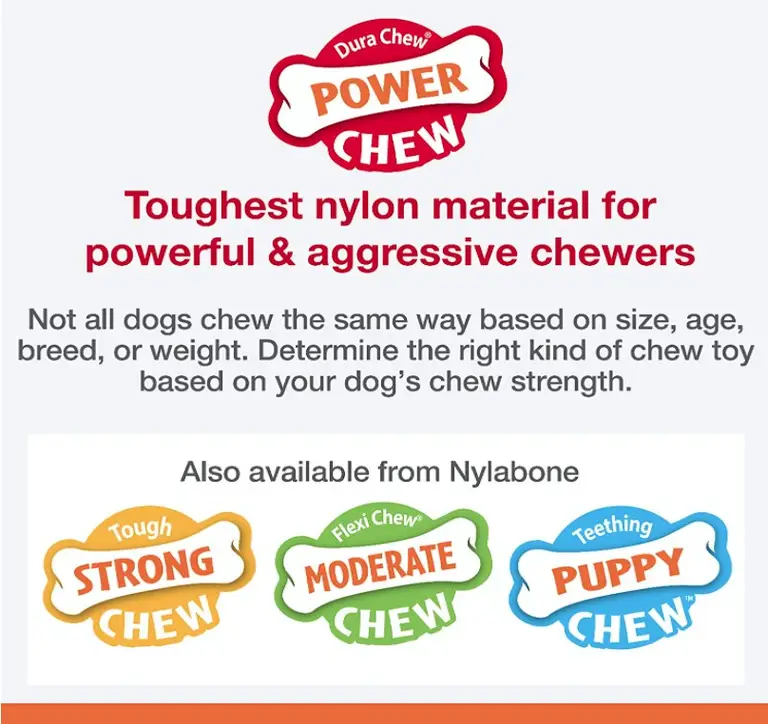 Nylabone Power Chew Shish Kabob Mess Free Nylon Chew Toy Chicken Jerky Flavor Regular Photo 2