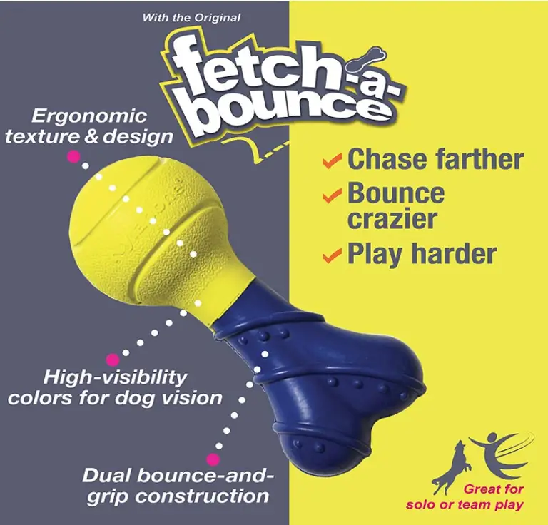 Nylabone Power Play Fetch-a-Bounce Rubber 5" Dog Toy Photo 1