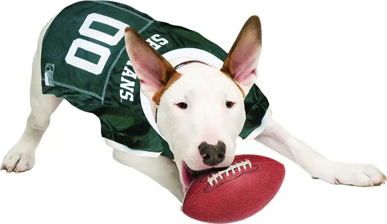 Pets First Michigan State Mesh Jersey for Dogs Photo 4