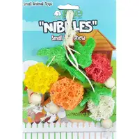 Photo of AE Cage Company Nibbles Fruit Bunch Loofah Chew Toy