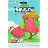 Photo of AE Cage Company Nibbles Strawberry and Watermelon Loofah Chew Toys