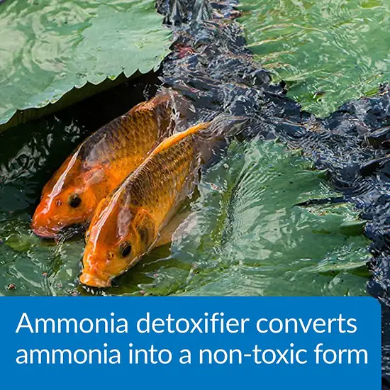 API Ammo Lock Ammonia Detoxifier for Ponds Photo 6