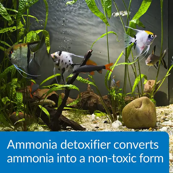 API Ammo Lock Detoxifies Aquarium Ammonia Photo 5