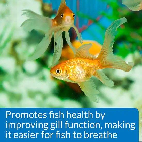 API Aquarium Salt Promotes Fish Health for Freshwater Aquariums Photo 6