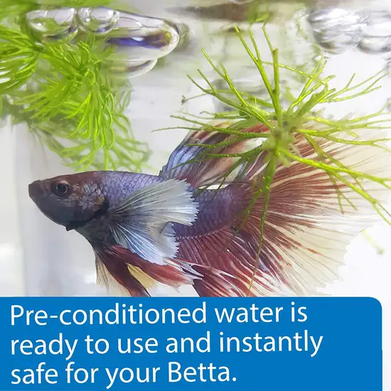 API Betta Water Add Fish Instantly Photo 4