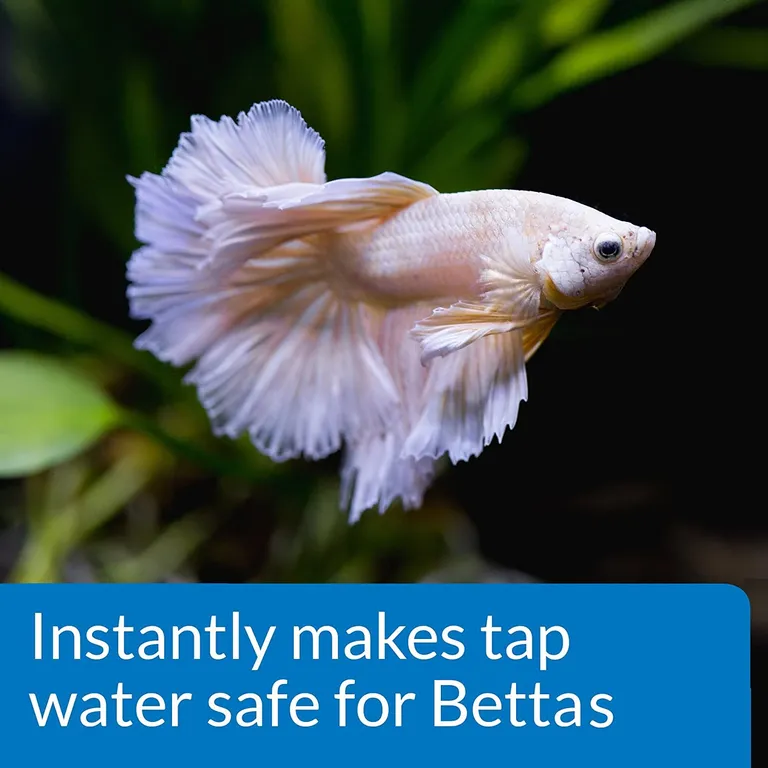 API Betta Water Conditioner Makes Tap Water Safe Photo 5