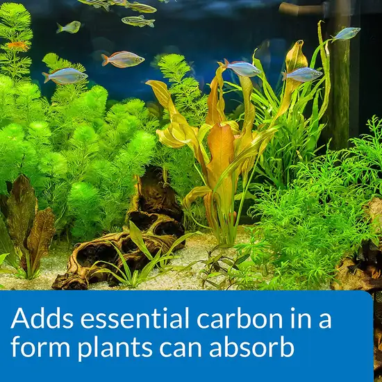 API CO2 Booster Promotes a Vibrant, Healthy Planted Aquarium Photo 4