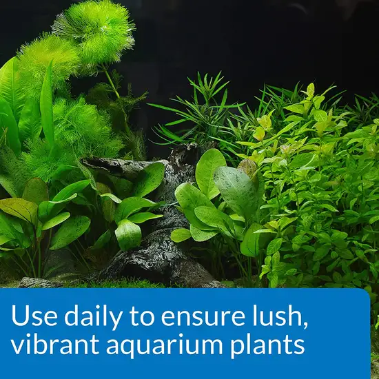 API CO2 Booster Promotes a Vibrant, Healthy Planted Aquarium Photo 6