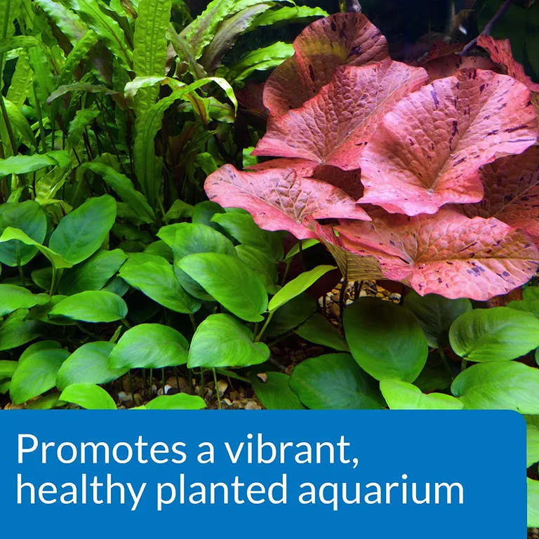 API CO2 Booster Promotes a Vibrant, Healthy Planted Aquarium Photo 5