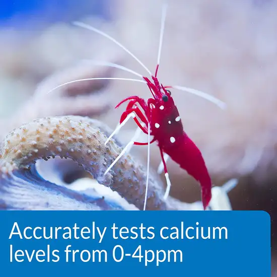 API Calcium Ca2+ Test Kit for Healthy Coral Growth Photo 5
