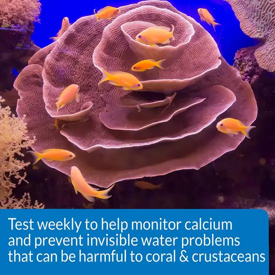 API Calcium Ca2+ Test Kit for Healthy Coral Growth Photo 6