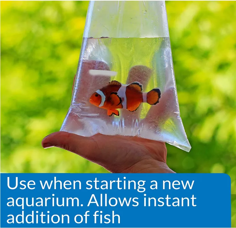 API Marine Quick Start Allows Instant Addition of Fish Photo 2