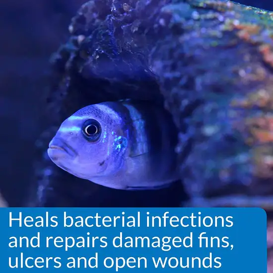 API MelaFix Treats Bacterial Infections for Freshwater and Saltwater Aquarium Fish Photo 5