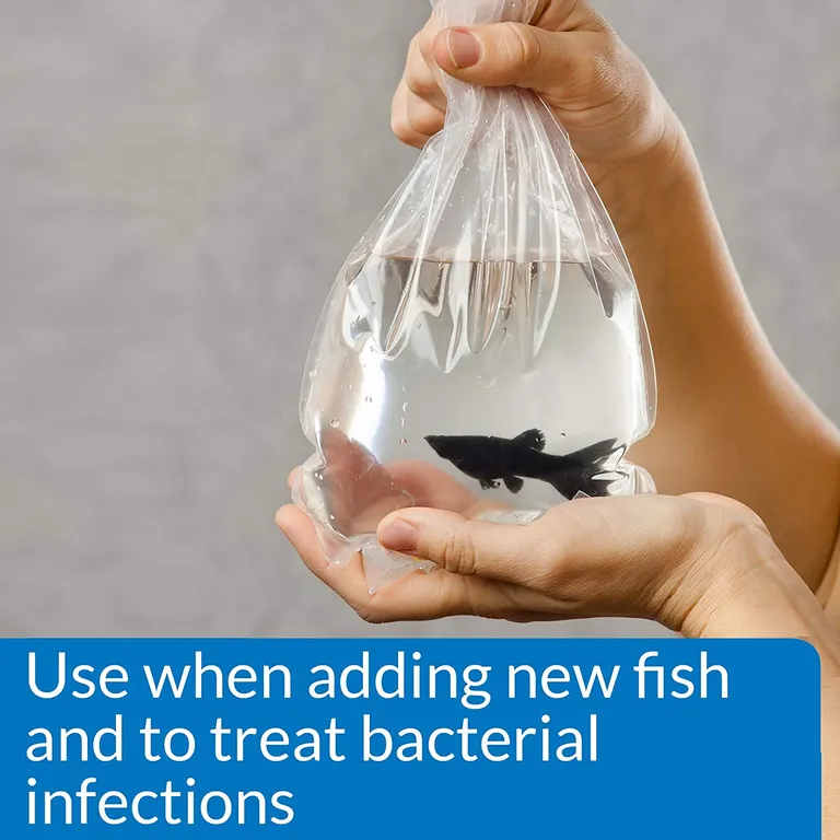 API MelaFix Treats Bacterial Infections for Freshwater and Saltwater Aquarium Fish Photo 4