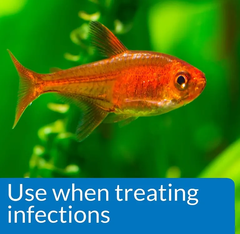 API Pimafix Treats Fungal Infections for Freshwater and Saltwater Fish Photo 3