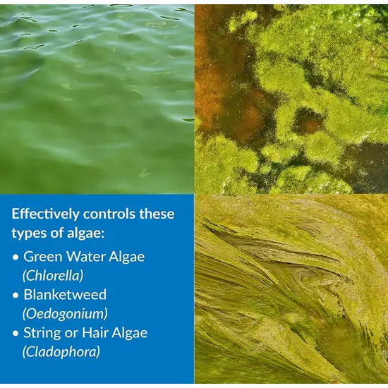 API Pond AlgaeFix Controls Algae Growth and Works Fast Photo 3