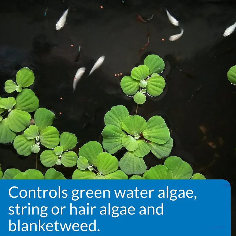 API Pond AlgaeFix Controls Algae Growth and Works Fast Photo 2