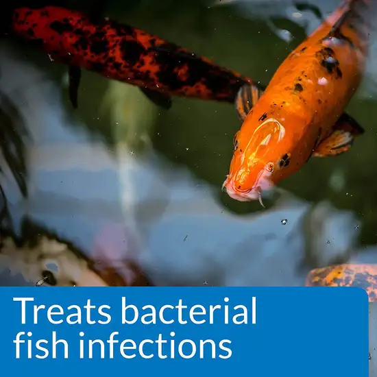API Pond Melafix Treats Bacterial Infections for Koi and Goldfish Photo 3