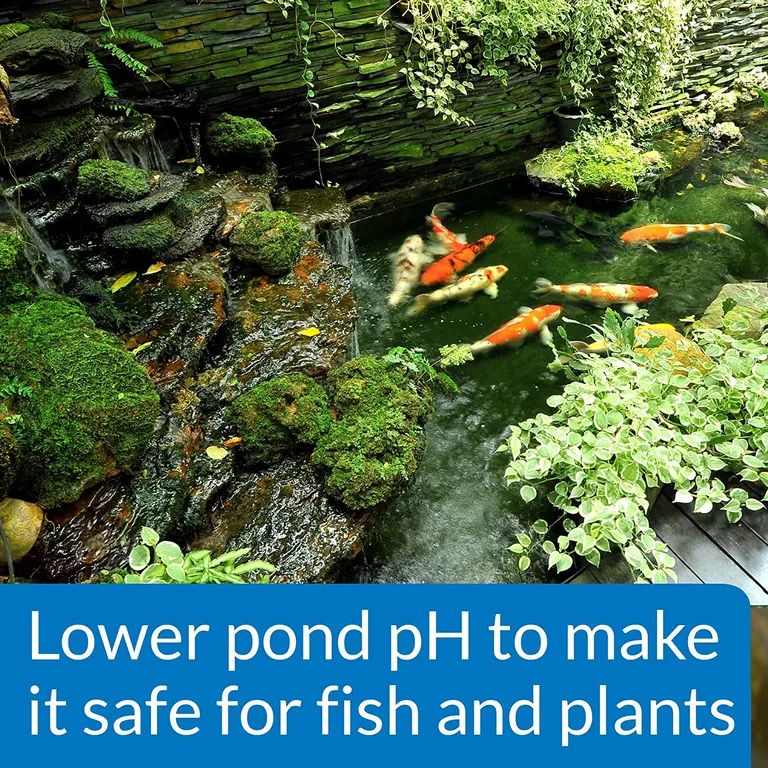 API Pond pH Down Lowers Pod Water pH Safe for Fish and Plants Photo 5