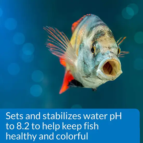 API Proper pH Sets and Stabilizes Freshwater Aquariums Photo 6