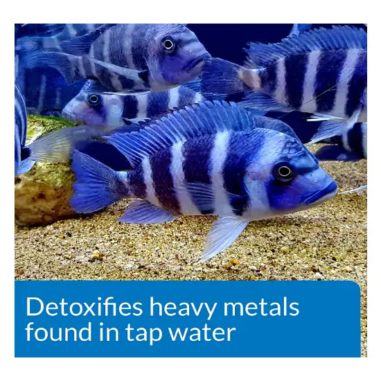 API Tap Water Conditioner Detoxifies Heavy Metals and Dechlorinates Aquarium Water Photo 2