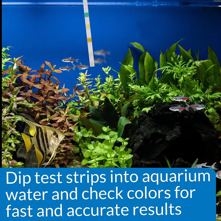 API 5 in 1 Aquarium Test Strips for Freshwater and Saltwater Aquariums Photo 2
