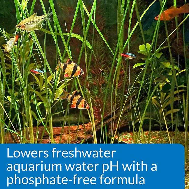 API pH Down Lowers Aquarium pH for Freshwater Aquariums Photo 4