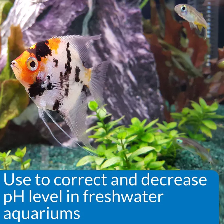 API pH Down Lowers Aquarium pH for Freshwater Aquariums Photo 3