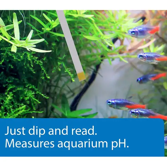 API pH Test Strips for Freshwater and Saltwater Aquariums Photo 7
