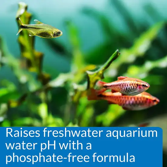 API pH Up Raises Aquarium pH for Freshwater Aquariums Photo 4