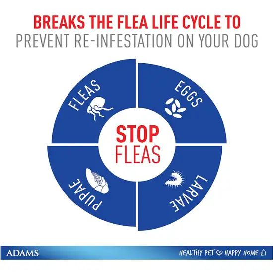 Adams Flea and Tick Prevention Spot On For Dogs 61 to 150 lbs X Large 3 Month Supply Photo 3