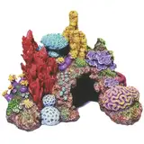 Aquarium Coral and Anemones Photo