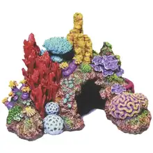 Aquarium Coral and Anemones