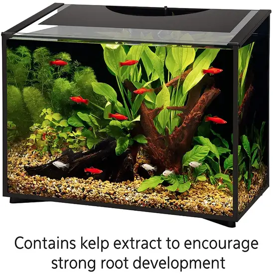 Aqueon Aquarium Plant Food Provides Macro and Micro Nutrients for Freshwater Plants Photo 4