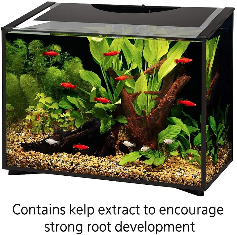 Aqueon Aquarium Plant Food Provides Macro and Micro Nutrients for Freshwater Plants Photo 4