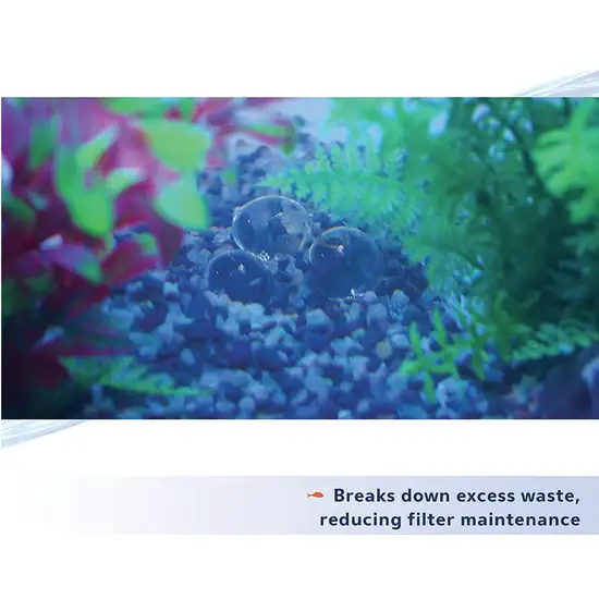 Aqueon Pure Live Beneficial Bacteria and Enzymes for Aquariums Photo 4