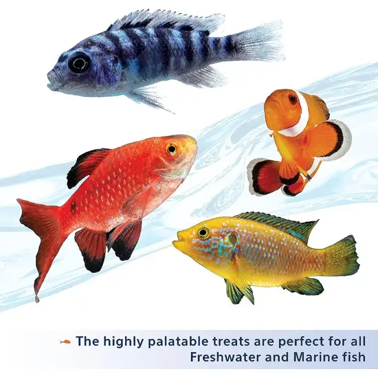 Aqueon Stick'ems Freeze Dried High Protein Treat for Fish Photo 4