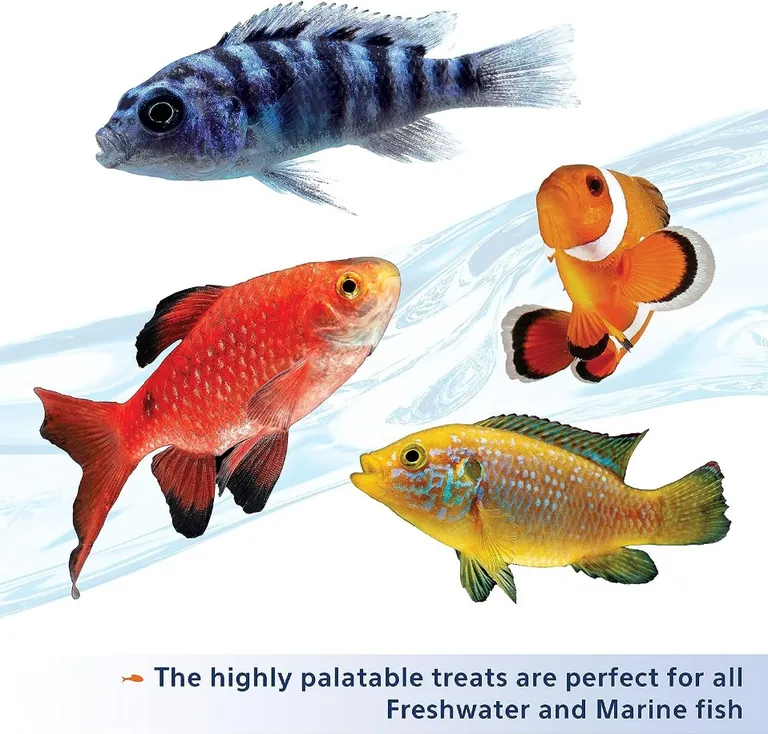 Aqueon Stick'ems Freeze Dried Picky Eater Treat for Fish Photo 4