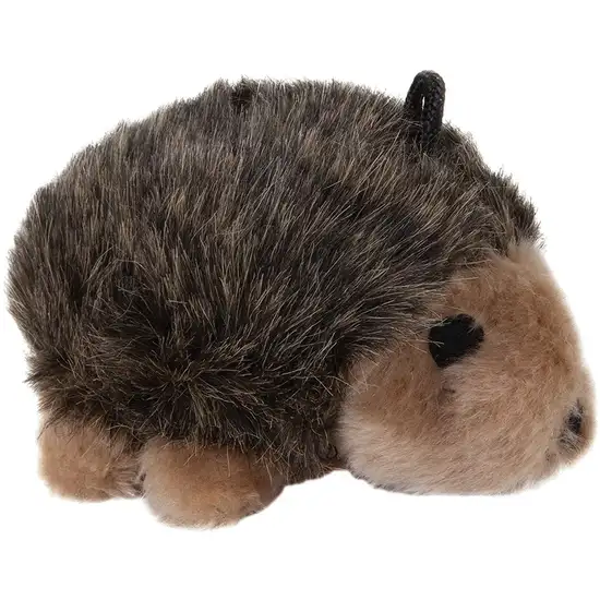 Aspen Pet Plush Hedgehog Dog Toy Photo 2