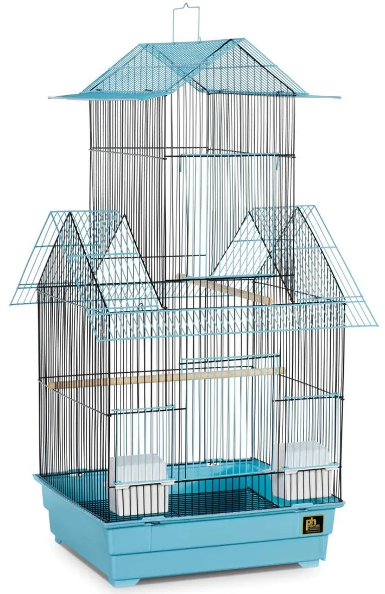 Beijing Bird Cage - Blue Photo 2