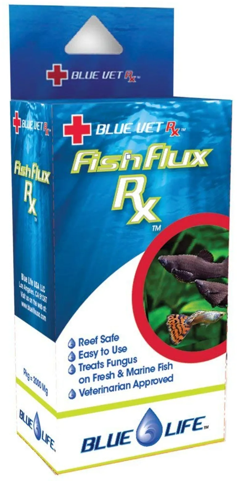 Blue Life FishFlux Rx Treats Fungus on Freshwater and Marine Aquarium Fish Photo 2