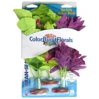 Photo of Blue Ribbon Vibran-Sea Color Burst Florals Amazon Flowering Cluster Pack