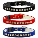 Cat Collars and Harnesses Photo