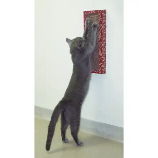 Cat Dancer Wall Scratcher Play Station Photo 2