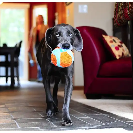 Chuckit Indoor Ball Toy for Dogs Photo 7