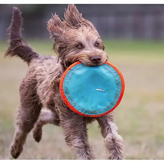Chuckit Paraflight Disc Dog Toy Photo 9