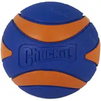 Photo of Chuckit Ultra Squeaker Ball Dog Toy