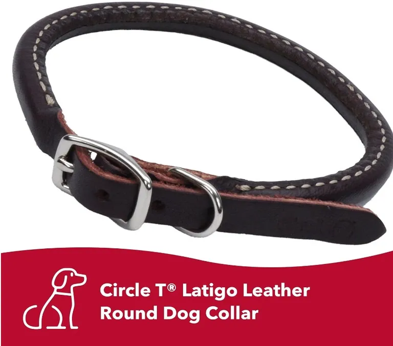 Circle T Latigo Leather Round Collars Photo 2