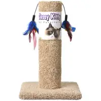 Photo of Classy Kitty Cat Scratching Post with Feathers